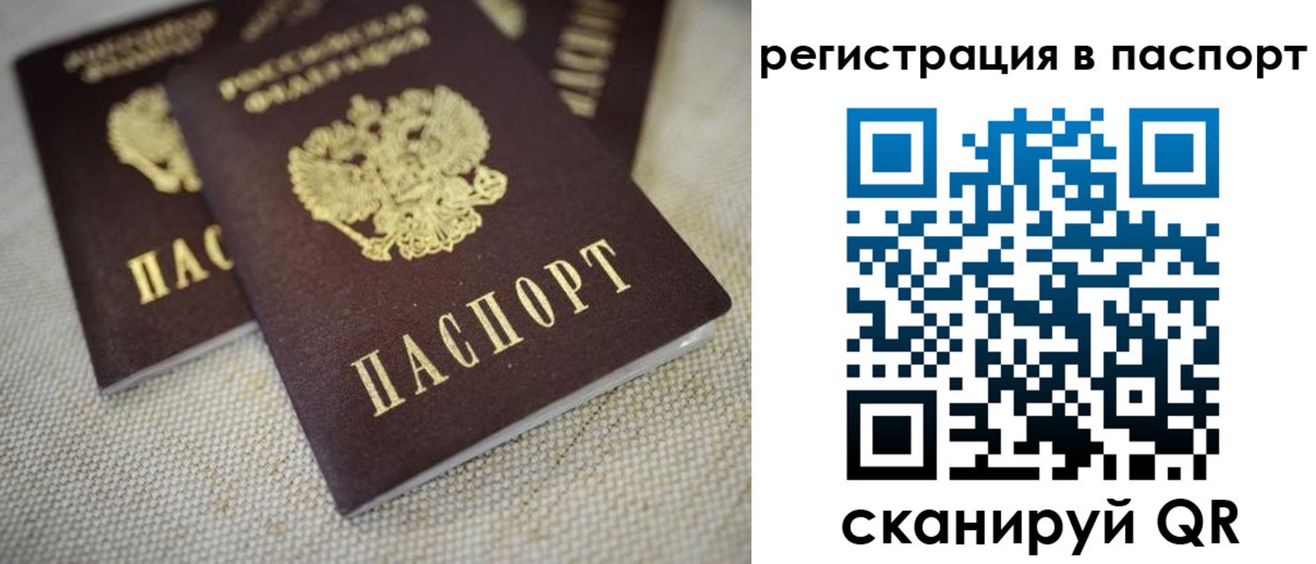 прописка гарантия в Марий Эл